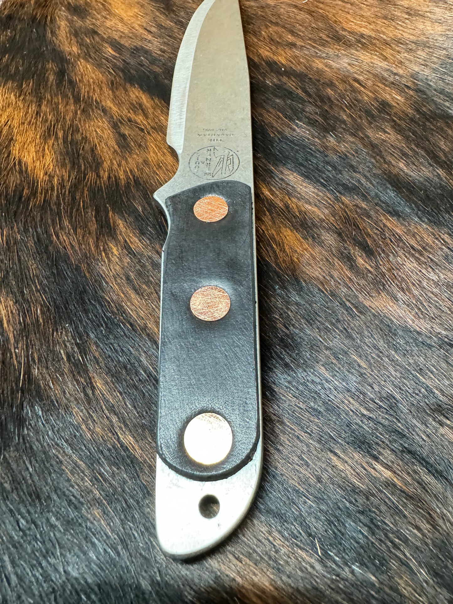 The Bavarian